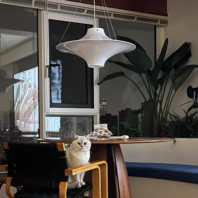White disc pendant light with cords suspended over a table