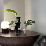 Noma Alabaster Walnut Table Lamp Walnut Wood Dia 7.9" × H 9.8" ( Dia 20 × H 25 cm) Glowryte
