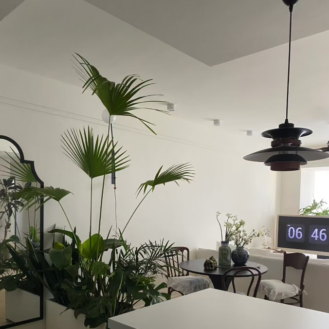 A modern interior space featuring a large potted palm and other green plants in white planters, a black pendant light, a dining table with chairs, and a kitchen island in the foreground.