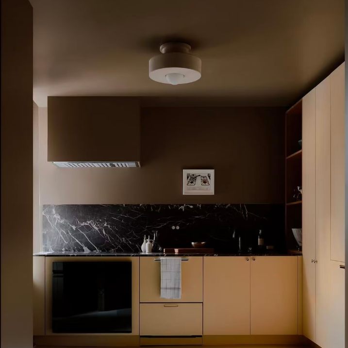 Ceiling flush mount resin light with circular white shade and small central bulb