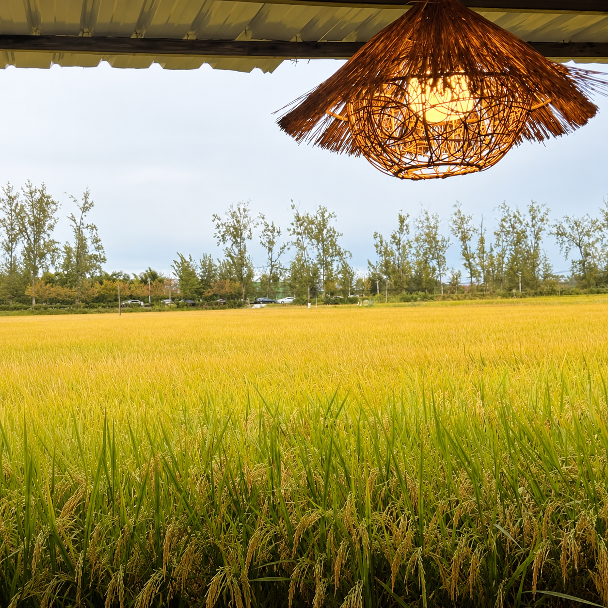 Rattan pendant light with straw-like fringe shade, warm glow beneath covered area